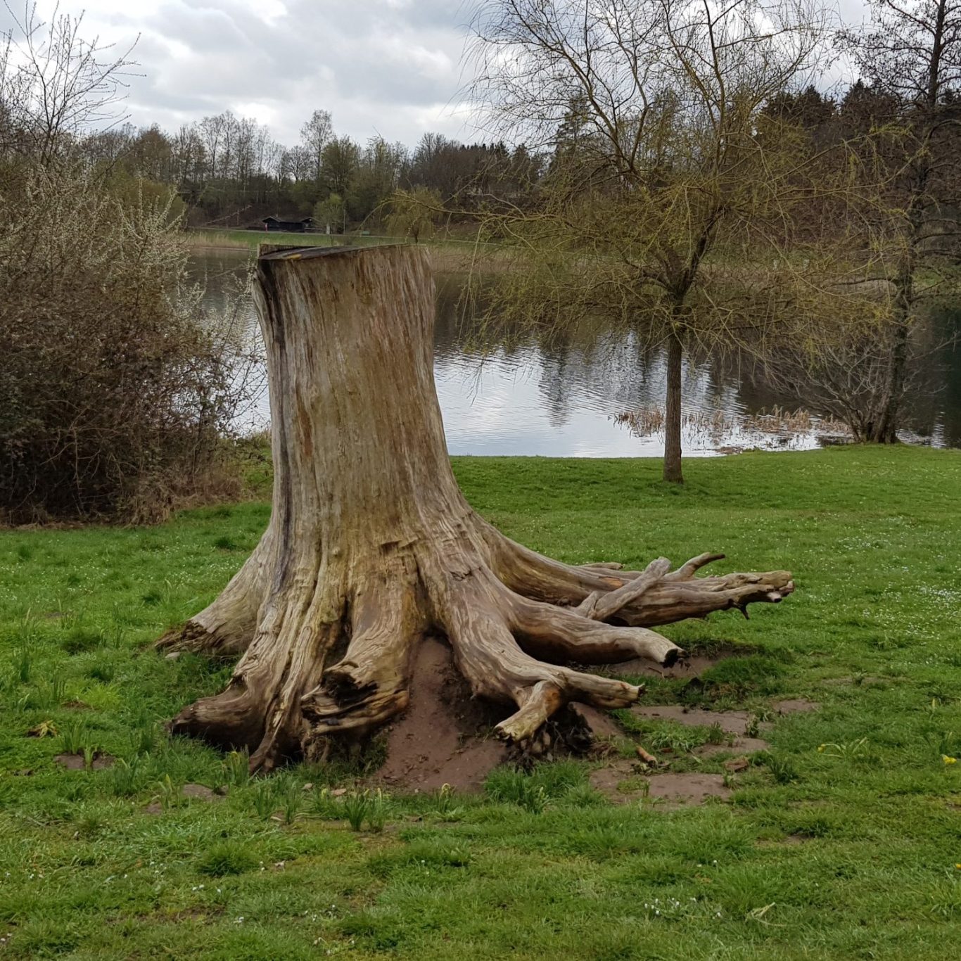 Fischweiher Bommersbachtal